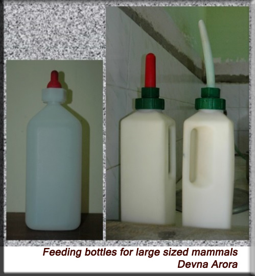 Devna Arora - Milk bottle for baby animals